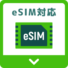 esim対応のおすすめ