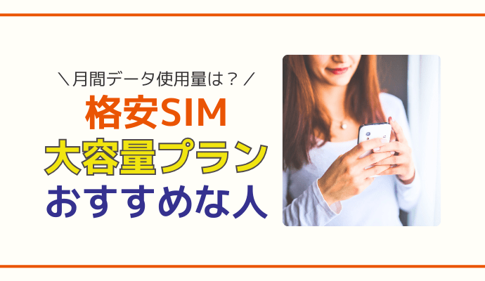 格安SIMの大容量プランがおすすめな人