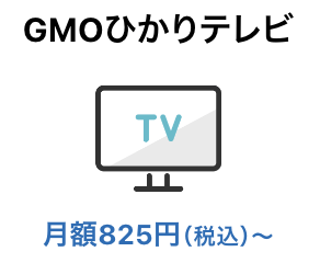 GMOとくとくBB光｜オプションサービス