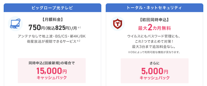 ビッグローブ光のオプション申し込み特典