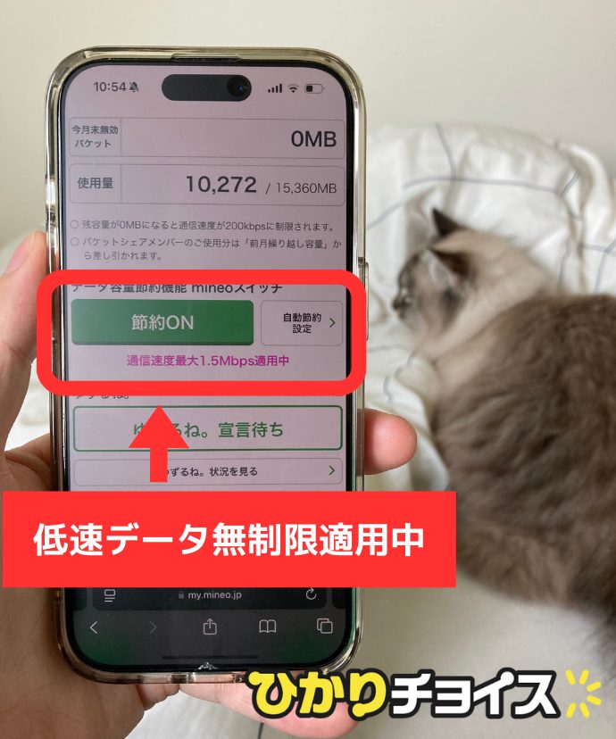 mineoの節約ボタンONの状態（低速データ無制限適用中）
