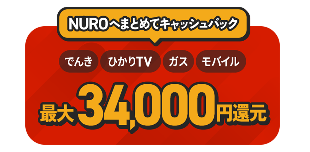 【公式】オプション｜期間限定キャンペーン実施中！NURO 光 戸建てプラン