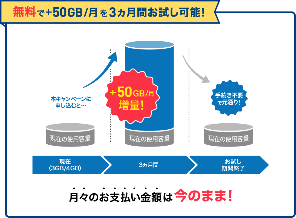 メリハリStepUp大容量お試しキャンペーン