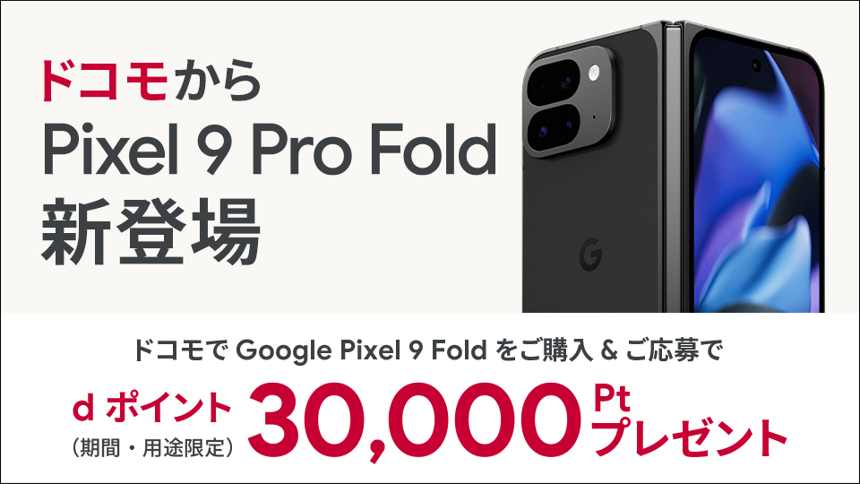 Google Pixel 9 Pro Fold購入キャンペーン